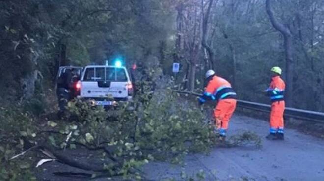 Vab protezione civile 