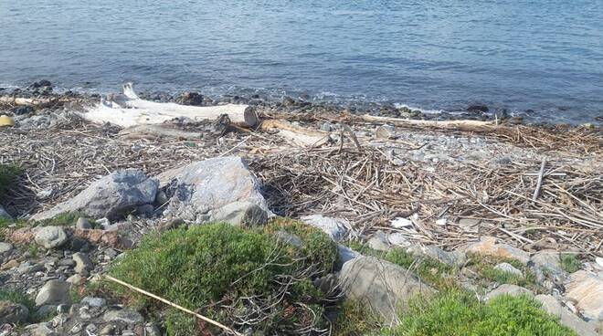 Spiaggia libera vicina a Casa Faci