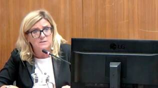 serena arrighi consiglio comunale monoblocco 10-2023